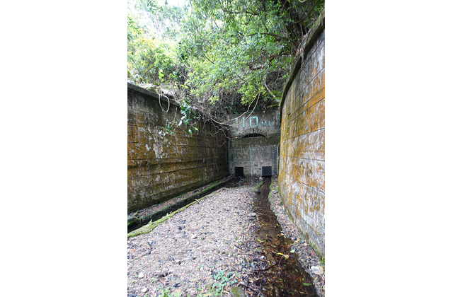 舊鐵礦場110ML礦洞入口，可見昔日礦坑路軌的痕跡