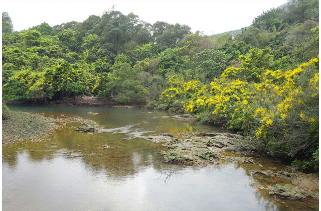 北潭涌龍坑河口一景
