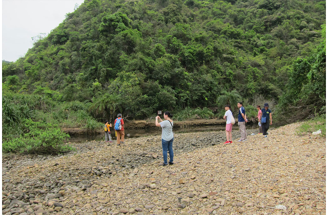 河流考察包括量度河水鹽度和觀察植被變化