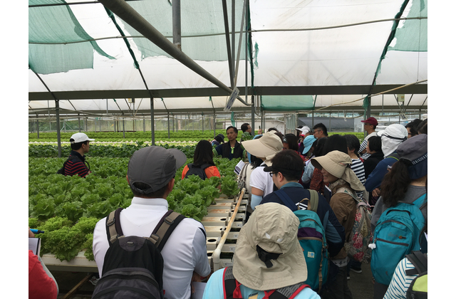 老師近距離觀察農場的作物、耕作條件及科技水平