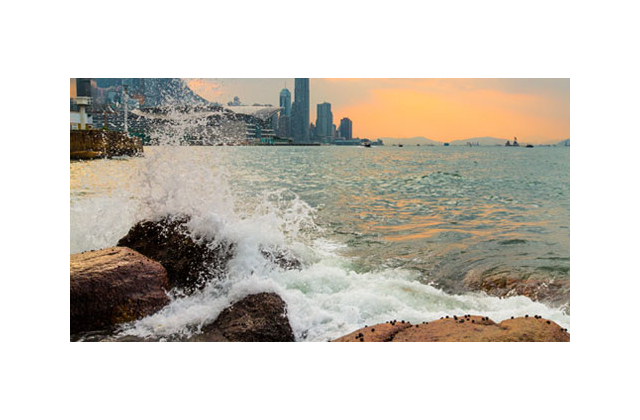 Preview: Image + Image + Video