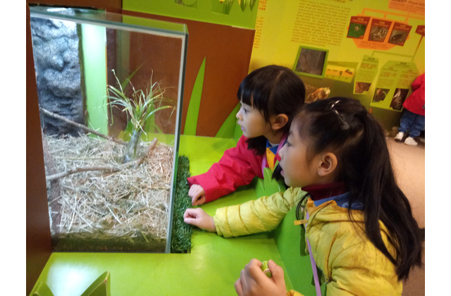 Champion - Kwong Lam Baptist Lui Kwok Pat Fong Kindergarten