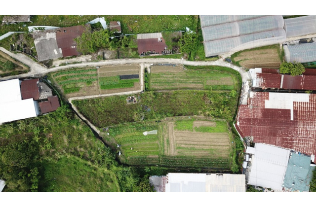 本社特別提供不同角度的農田航空照片，方便學生繪畫地圖和了解農地作物分佈