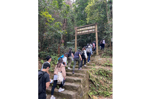 大埔滘自然護理區的林地考察